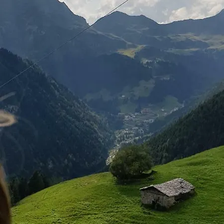 Le Terrazze *